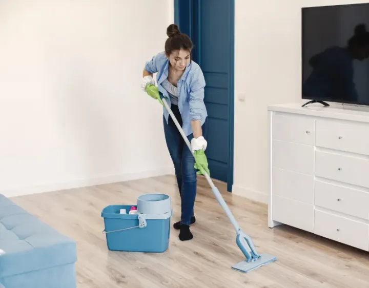 Femme de ménage Ver-sur-Mer